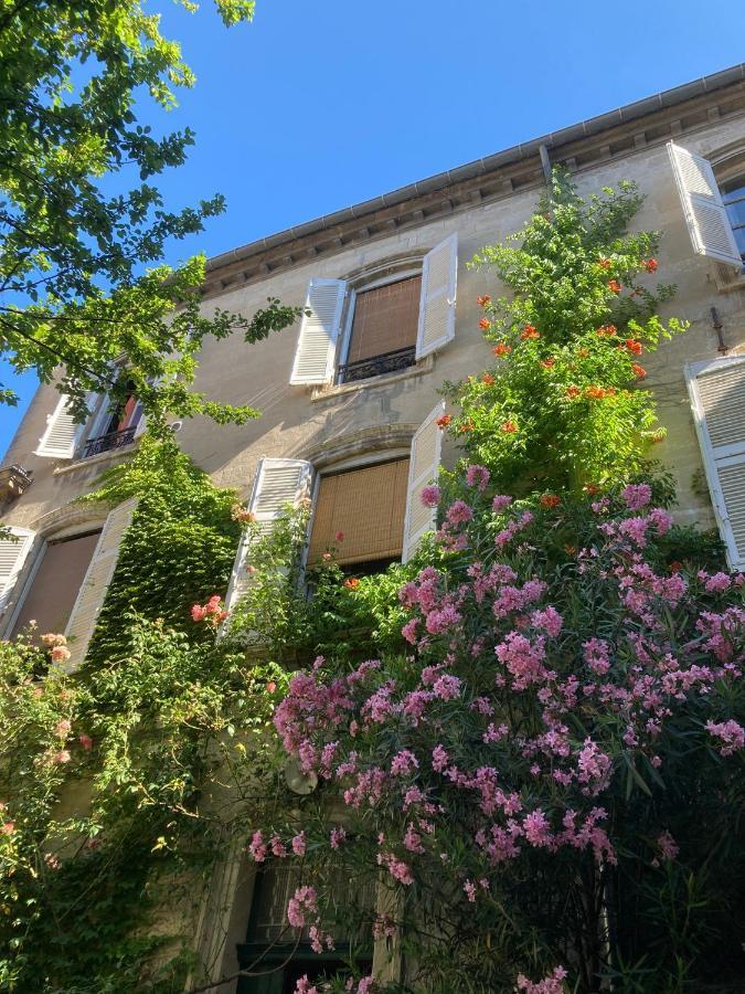 Cocooning Avignon Hotel Exterior photo