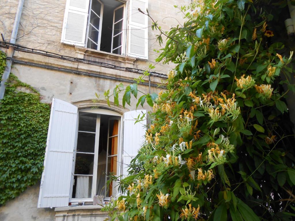 Cocooning Avignon Hotel Exterior photo
